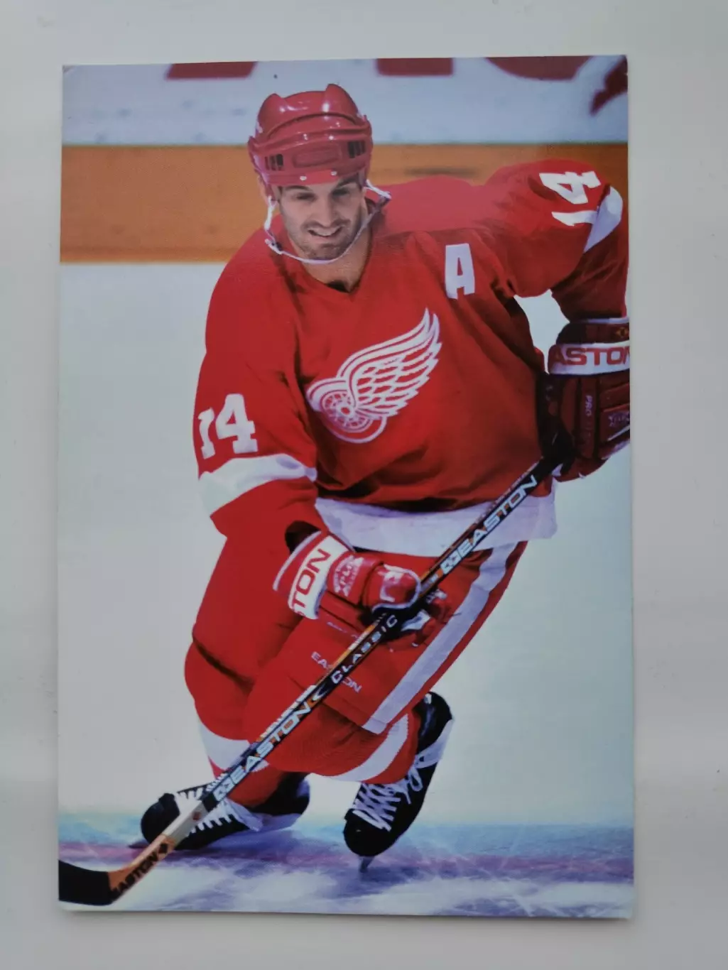 Brendan Shanahan/Брендан Шэнахэн Detroit Red Wings 1998-99 Panini Photocards