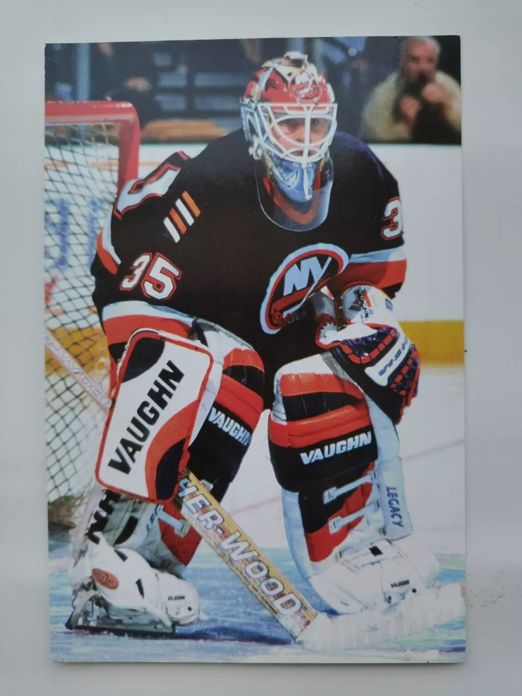 Tommy Salo/Томми Сало New York Islanders 1998-99 Panini Photocards
