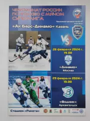 Хоккей с мячом. АК Барс Динамо Казань - Динамо Москва Водник Архангельск 2024