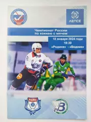 Хоккей с мячом. Родина Киров - Водник Архангельск 18 января 2024