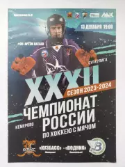 Хоккей с мячом. Кузбасс Кемерово - Водник Архангельск 13 декабря 2023