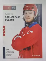 Хоккей с мячом. Сибсельмаш Новосибирск - Водник Архангельск 1 декабря 2023