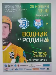 Хоккей с мячом. Водник Архангельск - Родина Киров 25 ноября 2023