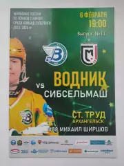 Хоккей с мячом. Водник Архангельск - Сибсельмаш Новосибирск 6 февраля 2024
