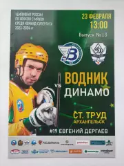 Хоккей с мячом. Водник Архангельск - Динамо Москва 23 февраля 2024