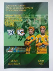 Хоккей с мячом. Водник Архангельск - Старт Нижний Новгород 25 февраля 2023