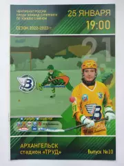Хоккей с мячом. Водник Архангельск - Байкал-Энергия Иркутск 25 января 2023