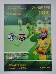 Хоккей с мячом. Водник Архангельск - Сибсельмаш Новосибирск 26 ноября 2022