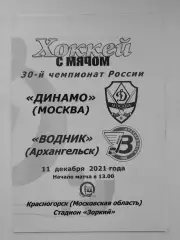 Хоккей с мячом. Динамо Москва - Водник Архангельск 11 декабря 2021.