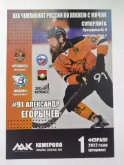 Хоккей с мячом. Кузбасс Кемерово - Водник Архангельск 1 февраля 2022