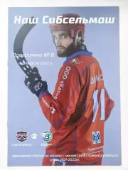 Хоккей с мячом. Сибсельмаш Новосибирск - Водник Архангельск 4 февраля 2022