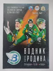 Хоккей с мячом. Водник Архангельск - Родина Киров 29 января 2022