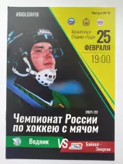 Хоккей с мячом. Водник Архангельск - Байкал-Энергия Иркутск 25 февраля 2022.