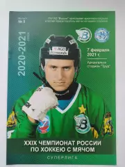 Хоккей с мячом. Водник Архангельск - Волга Ульяновск 7 февраля 2021