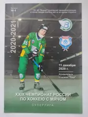 Хоккей с мячом. Водник Архангельск - Родина Киров 11 декабря 2020