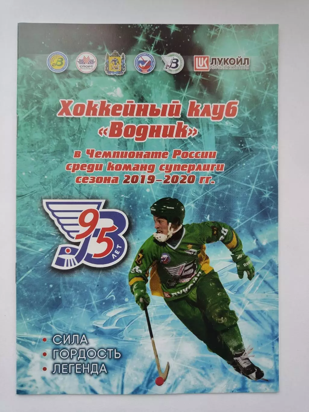 Хоккей с мячом. Водник Архангельск - Родина Киров. 11 января 2020