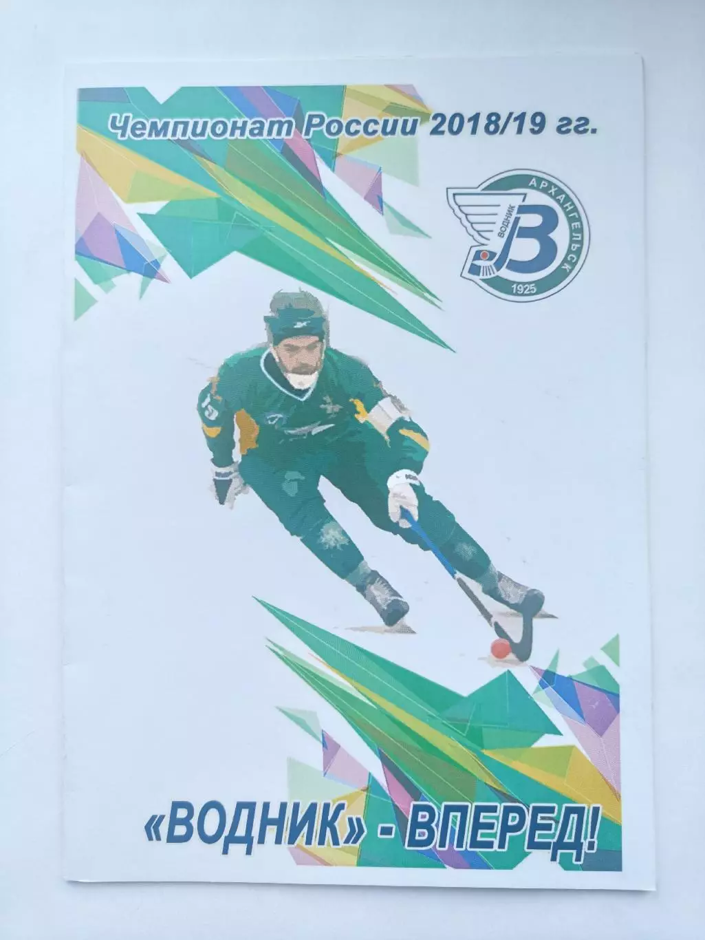 Хоккей с мячом Водник Архангельск Енисей Красноярск 3 ноября 2018 (см. описание)