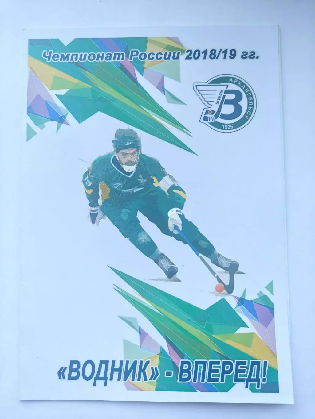 Хоккей с мячом Водник Архангельск – Динамо Москва 15 февраля 2019 (см. описание)