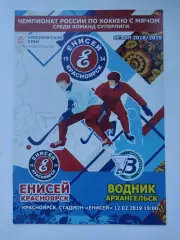 Хоккей с мячом. Енисей Красноярск - Водник Архангельск 12 февраля 2019