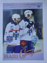 Хоккей с мячом. Сибсельмаш Новосибирск - Водник Архангельск 27 февраля 2019