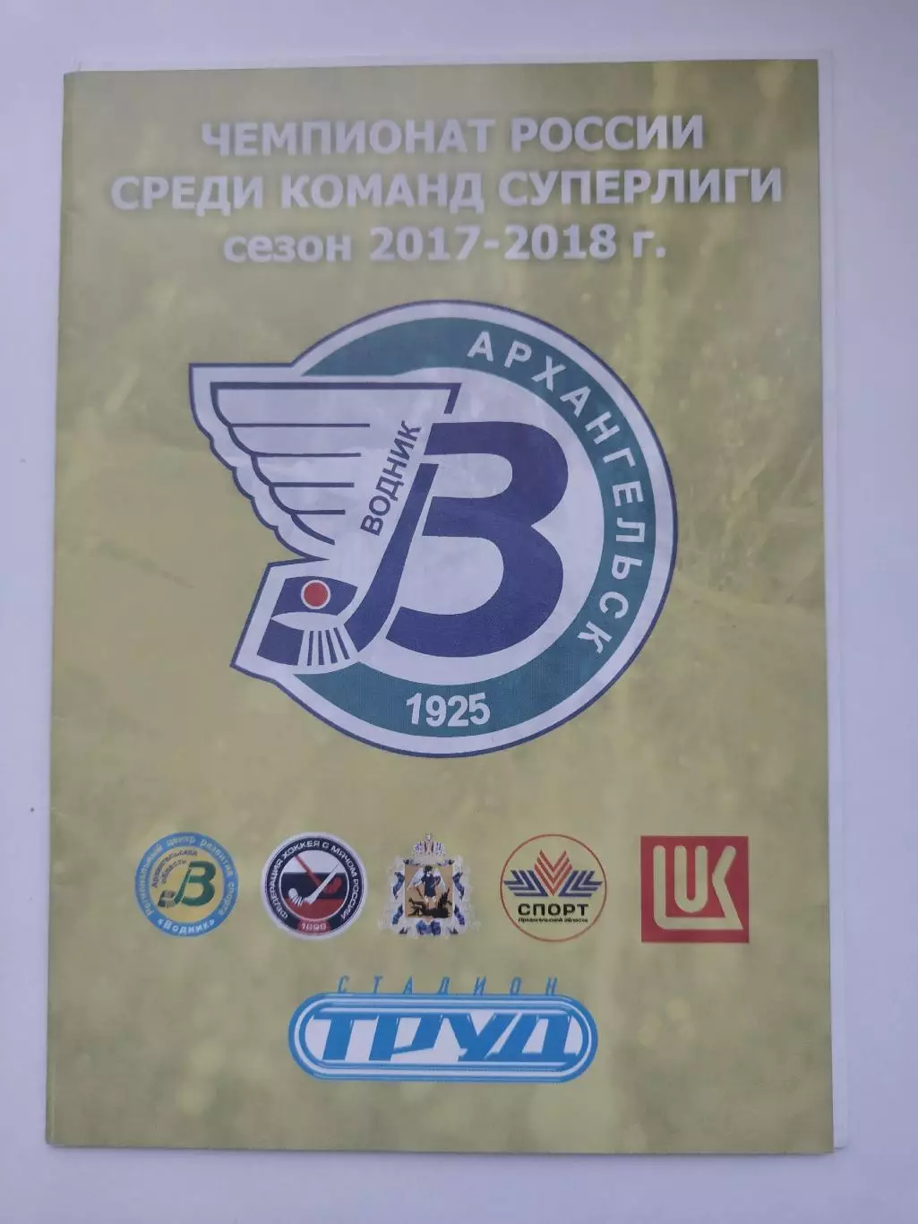 Хоккей с мячом Водник Архангельск – Динамо Казань 4 ноября 2017 VIP