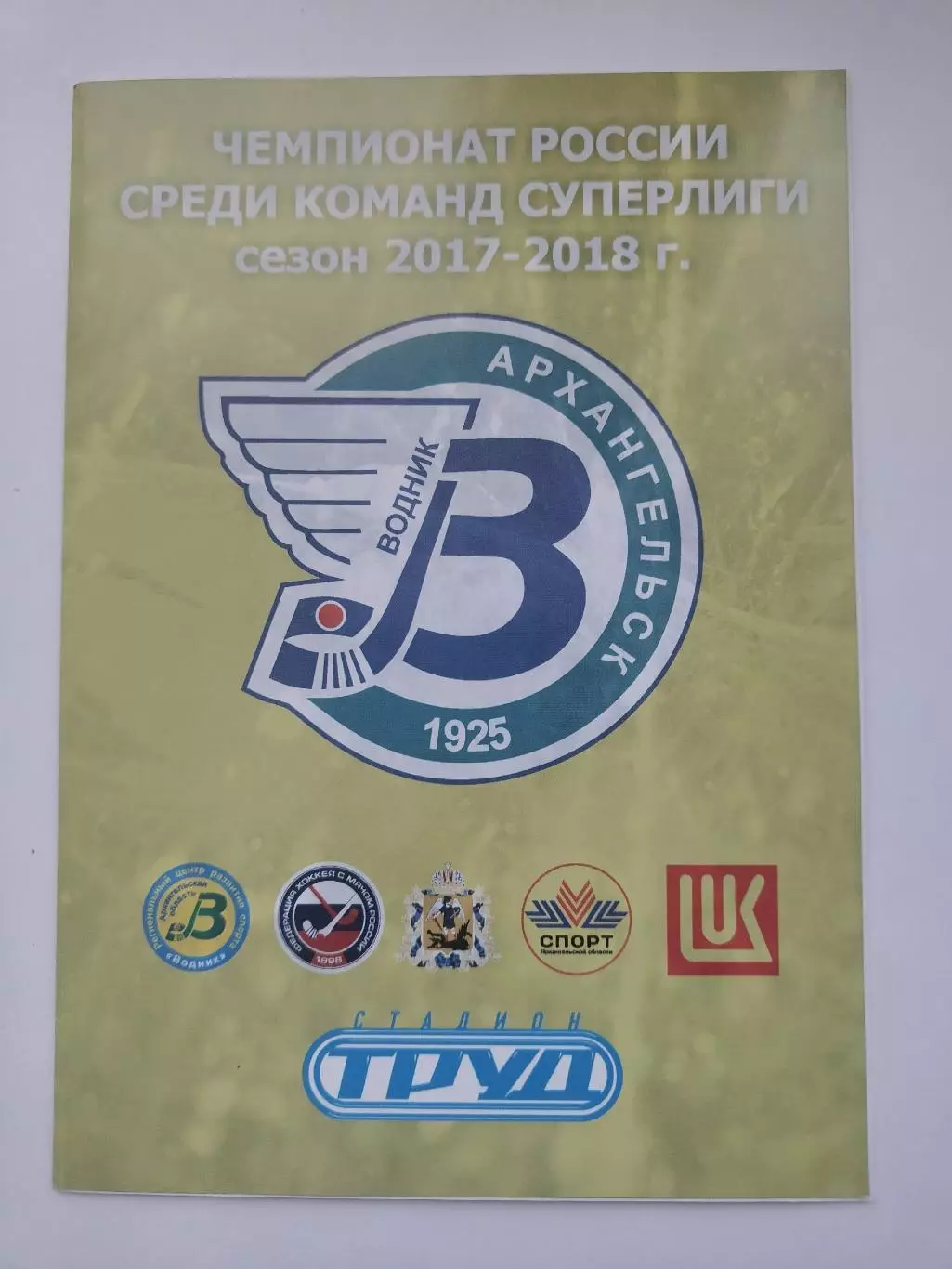 Хоккей с мячом Водник Архангельск – Байкал-Энергия Иркутск 18 ноября 2017 VIP
