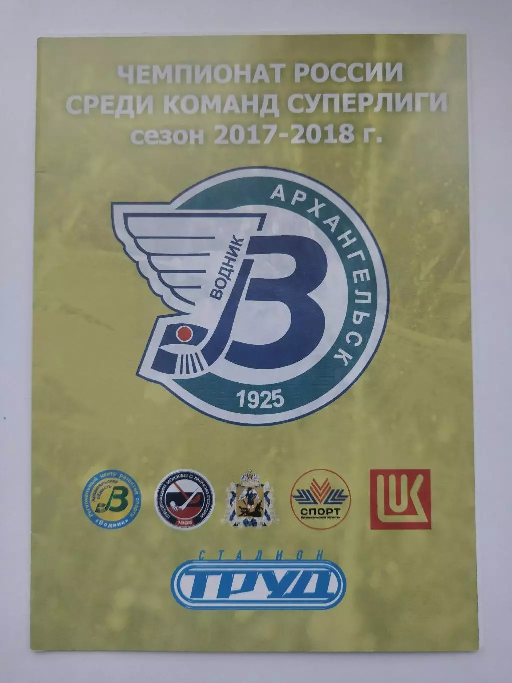 Хоккей с мячом. Водник Архангельск - Родина Киров 28 декабря 2017 VIP