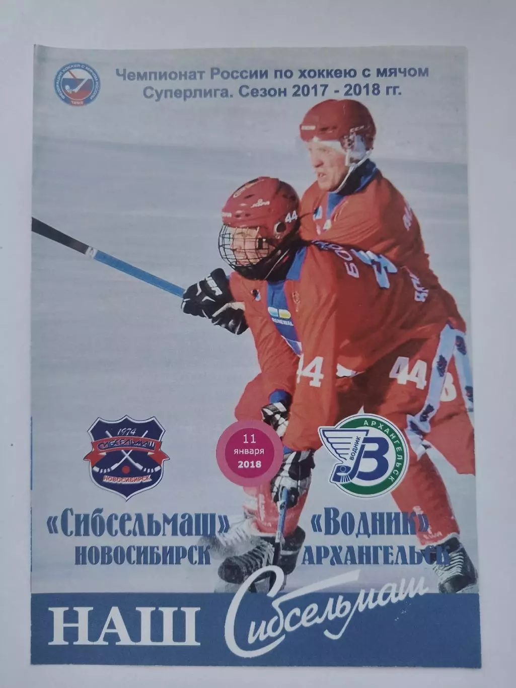Хоккей с мячом. Сибсельмаш Новосибирск - Водник Архангельск 11 января 2018