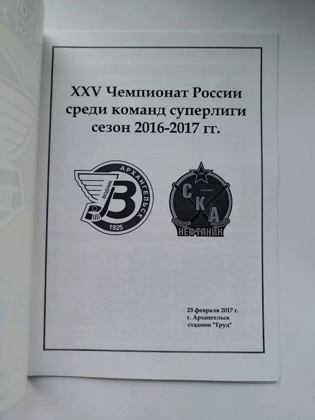 Хоккей с мячом. Водник Архангельск - СКА-Нефтяник Хабаровск 23 февраля 2017 VIP 1