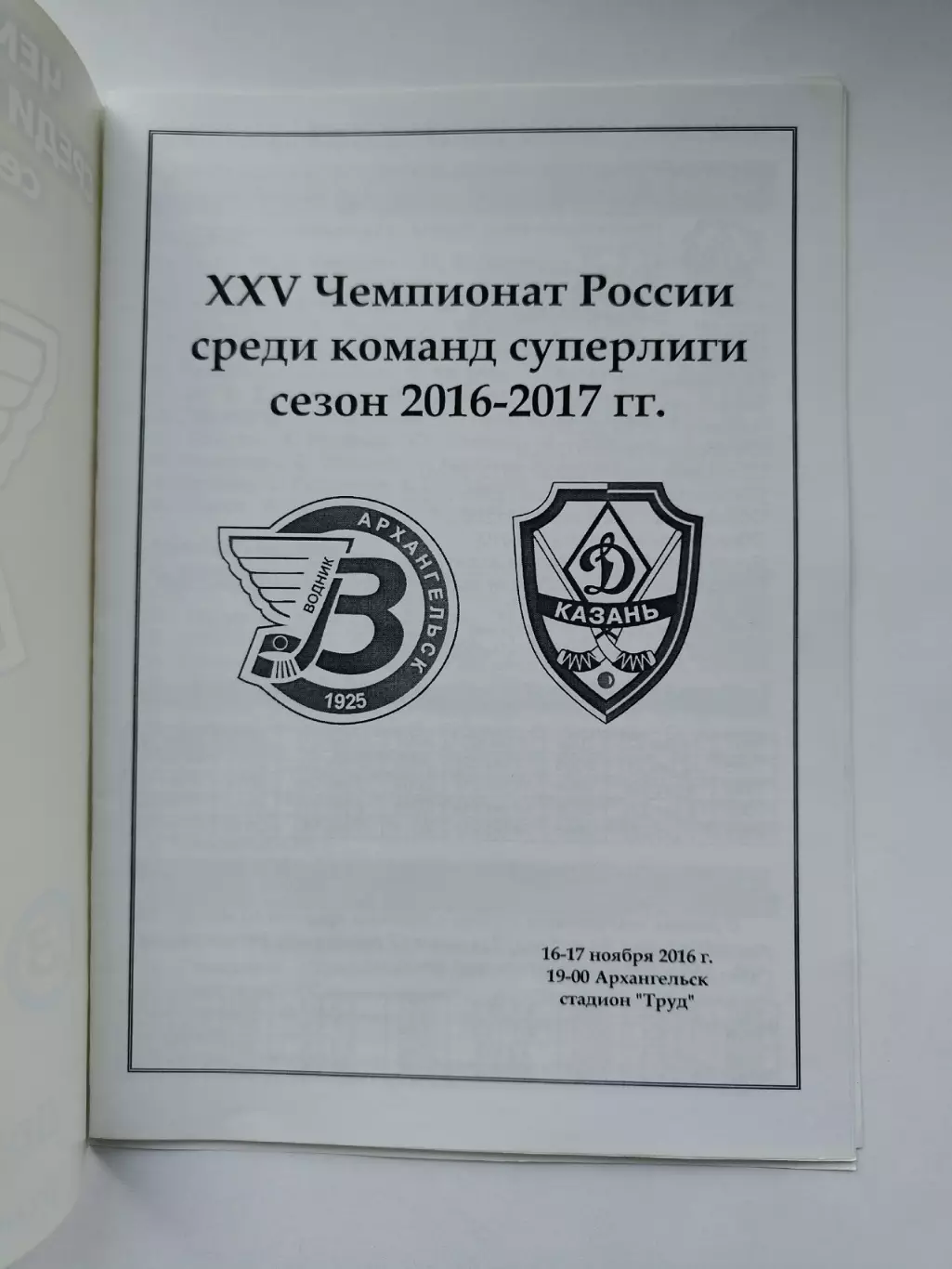 Хоккей с мячом. Водник Архангельск - Динамо Казань 16/17 ноября 2016 VIP 1