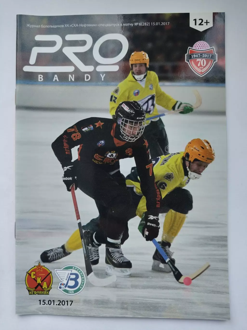 Хоккей с мячом. СКА-Нефтяник Хабаровск - Водник Архангельск 15 января 2017