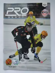 Хоккей с мячом. СКА-Нефтяник Хабаровск - Водник Архангельск 15 января 2017