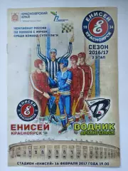 Хоккей с мячом. Енисей Красноярск - Водник Архангельск 16 февраля 2017