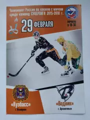 Хоккей с мячом. Кузбасс Кемерово - Водник Архангельск 29 февраля 2016