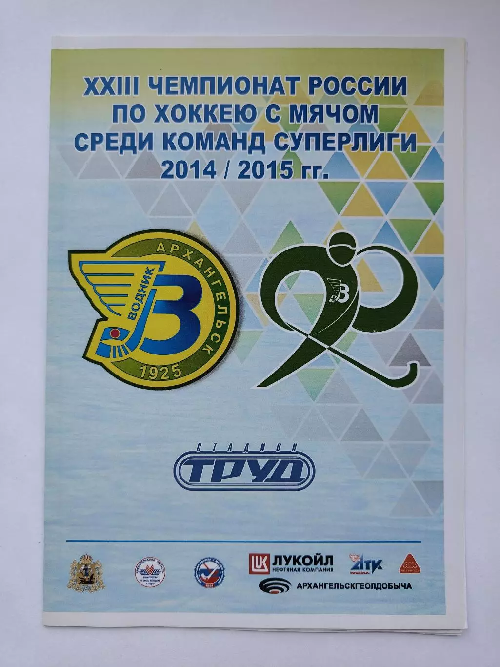 Хоккей с мячом. Водник Архангельск - Енисей Красноярск 20 января 2015