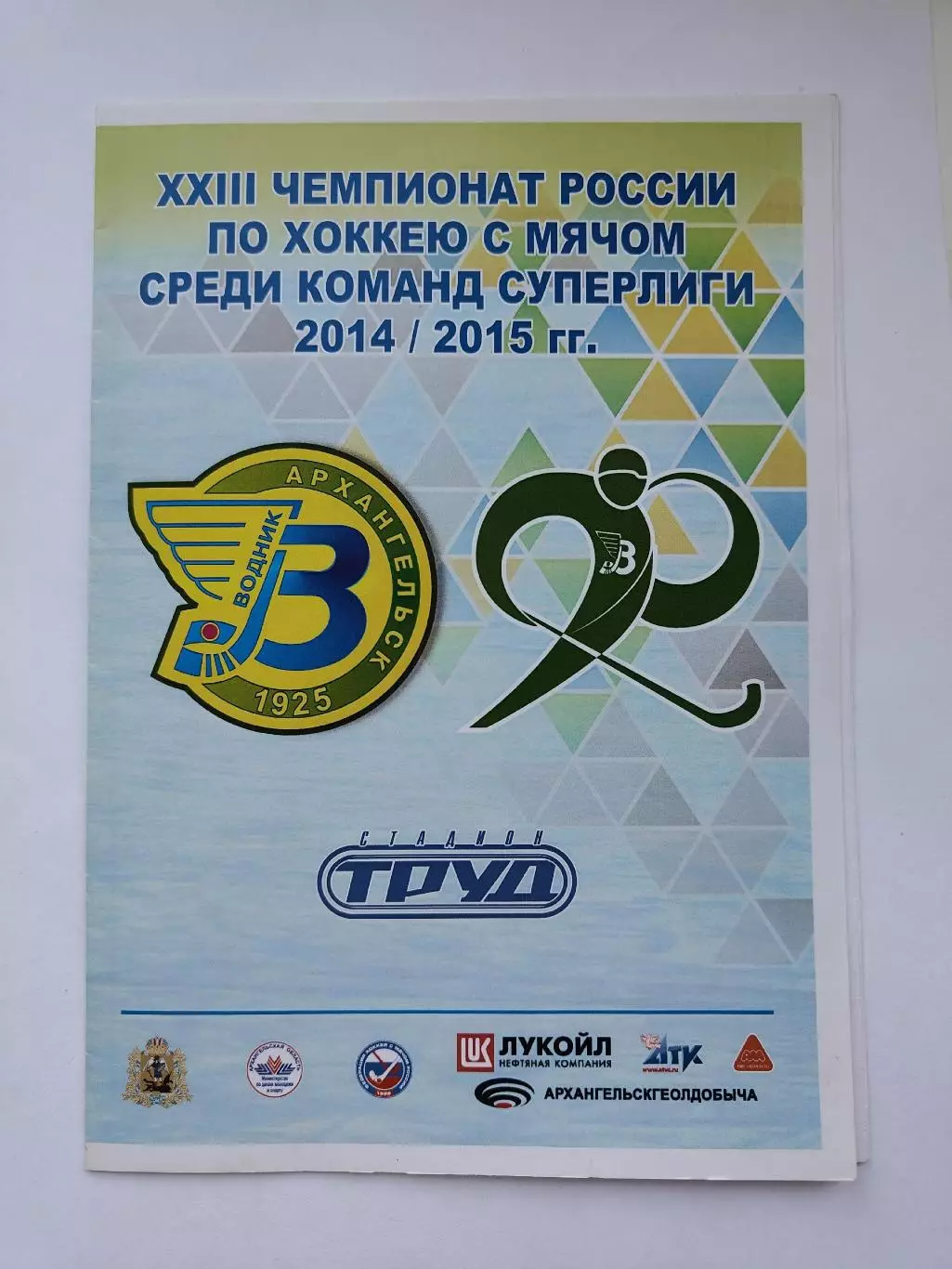 Хоккей с мячом. Водник Архангельск - Кузбасс Кемерово 17 января 2015