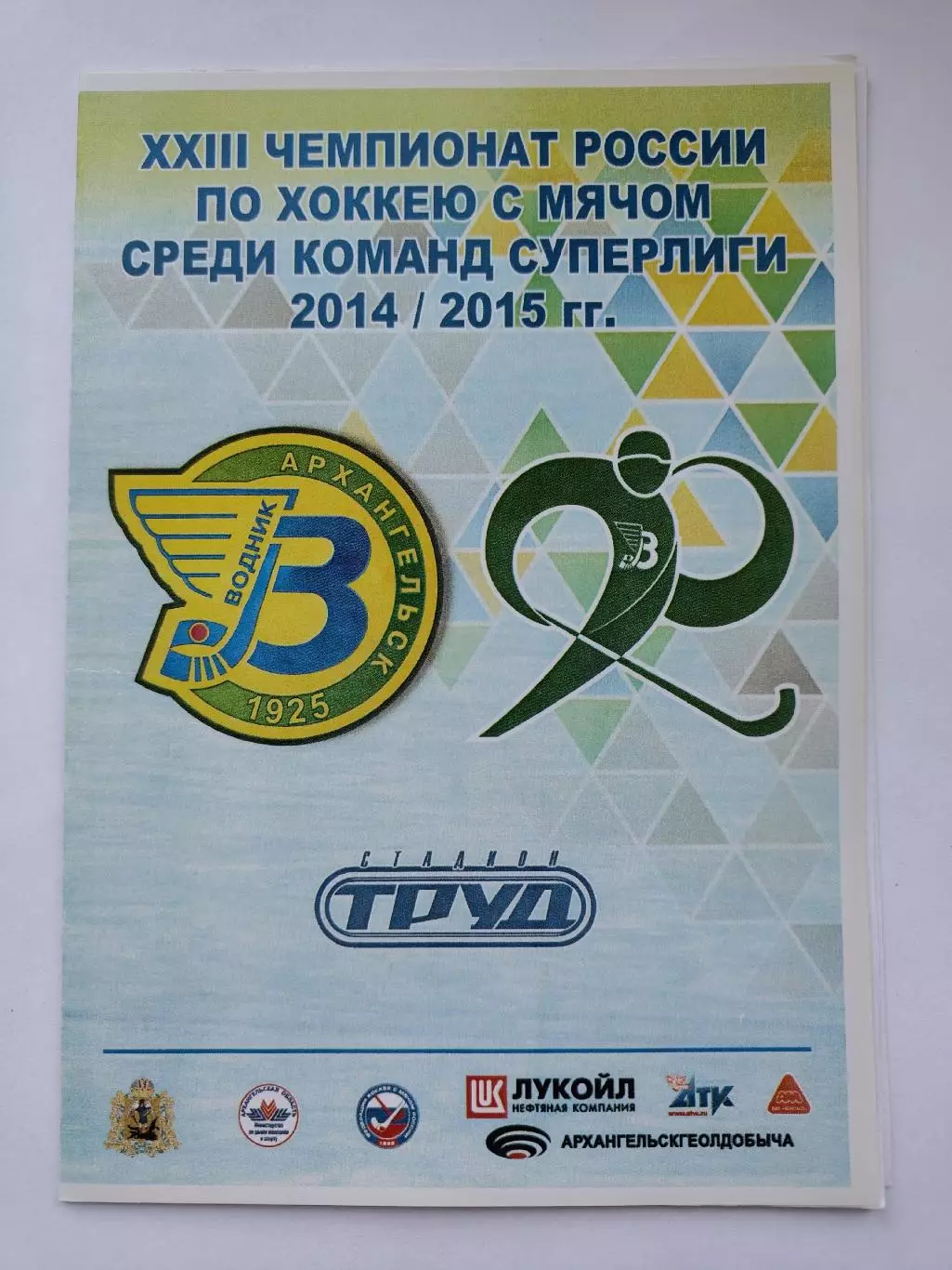 Хоккей с мячом. Водник Архангельск - Старт Нижний Новгород 27 ноября 2014