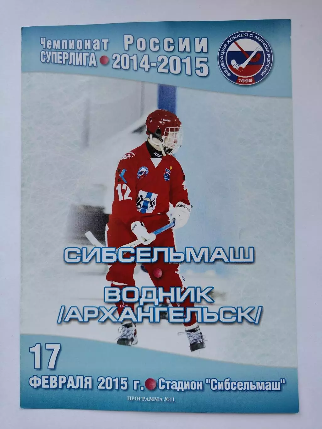 Хоккей с мячом. Сибсельмаш Новосибирск - Водник Архангельск 17 февраля 2015