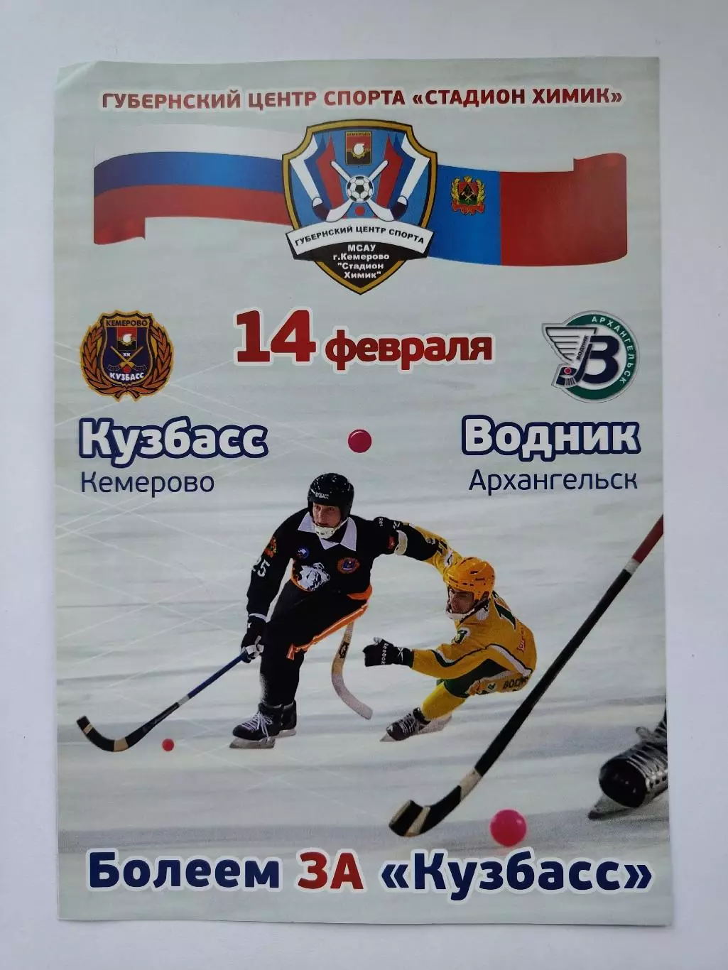 Хоккей с мячом. Кузбасс Кемерово - Водник Архангельск 14 февраля 2015