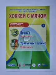 Хоккей с мячом. Водник Архангельск - Урал. Трубник Первоуральск 14 ноября 2013