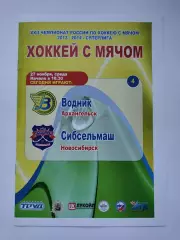 Хоккей с мячом. Водник Архангельск - Сибсельмаш Новосибирск 27 ноября 2013