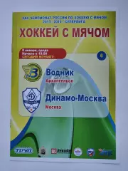 Хоккей с мячом. Водник Архангельск - Динамо Москва 8 января 2014