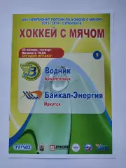 Хоккей с мячом. Водник Архангельск - Байкал-Энергия Иркутск 23 января 2014