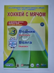 Хоккей с мячом. Водник Архангельск - Волга Ульяновск 14 февраля 2014