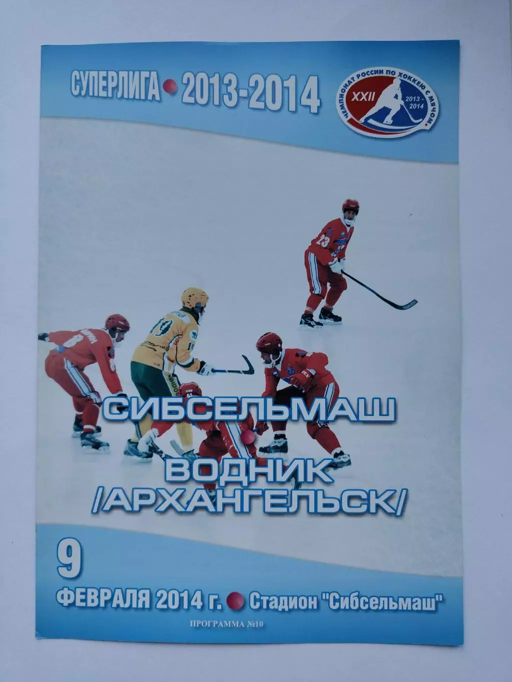 Хоккей с мячом. Сибсельмаш Новосибирск - Водник Архангельск 9 февраля 2014