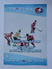 Хоккей с мячом. Сибсельмаш Новосибирск - Водник Архангельск 9 февраля 2014