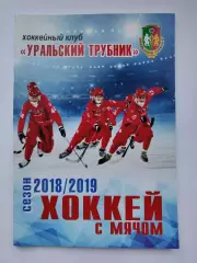 Хоккей с мячом. Первоуральск 2018/2019 (48 страниц)