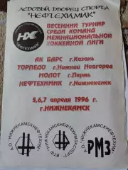 Нижнекамск. Турнир МХЛ 1996 Торпедо Нижний Новгород Молот Пермь АК Барс Казань