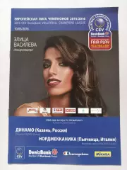 Волейбол. Динамо Казань - Нордмекканика Италия 10 марта 2016 Лига Чемпионов