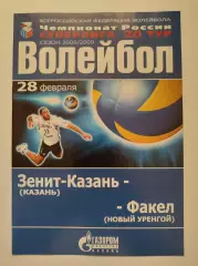 Волейбол. Динамо-Таттрансгаз Казань - Факел Новый Уренгой 28 февраля 2009